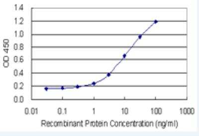 ELISA: SHMT2 Antibody (5E7) [H00006472-M04-100ug]