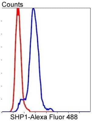 Flow Cytometry: SHP-1 Antibody (SR41-02) [NBP2-67321]