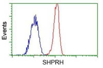 Flow Cytometry: SHPRH Antibody (OTI5G8) - Azide and BSA Free [NBP2-74180]