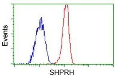 Flow Cytometry: SHPRH Antibody (OTI5G8) [NBP2-02797]