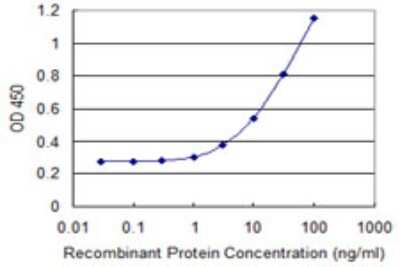 ELISA: SIK1/Snf1lk Antibody (2C12) [H00150094-M01]