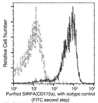 Flow Cytometry: SIRP alpha/CD172a Antibody (012) [NBP2-90753]