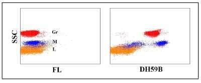 Flow Cytometry: SIRP alpha/CD172a Antibody (DH59B) [NBP2-61014]