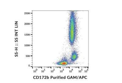 Flow Cytometry: SIRP beta 1/CD172b Antibody (B4B6) - BSA Free [NBP3-09152]