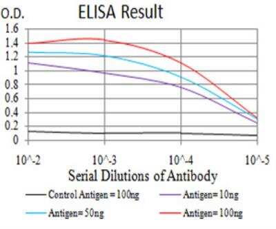 ELISA: SIRT7 Antibody (1E2B2) - BSA Free [NBP2-52564]