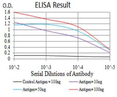 ELISA: SIRT7 Antibody (1E2G10) - BSA Free [NBP2-52565]