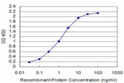 ELISA: SIX4 Antibody (3B8) [H00051804-M05]