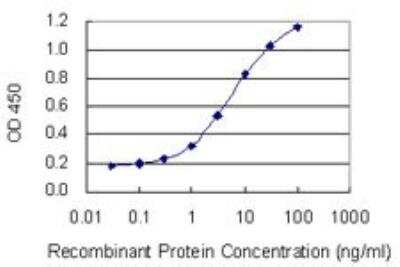 ELISA: SIX2 Antibody (3D7) [H00010736-M01]