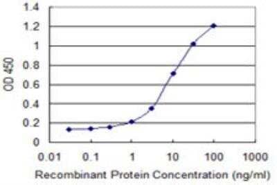 ELISA: SLC20A2 Antibody (4B1) [H00006575-M04]