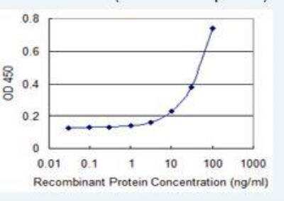 ELISA: OAT1 Antibody (1F2) [H00009356-M05]