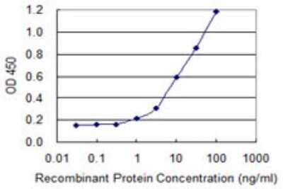 ELISA: SLC22A8 Antibody (3C11) [H00009376-M02]