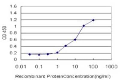 ELISA: SLC25A6 Antibody (2A9) [H00000293-M01]