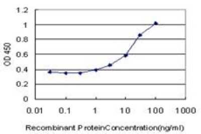 ELISA: SLC26A5 Antibody (1F4) [H00375611-M04]