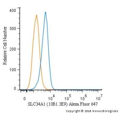 Flow Cytometry: SLC34A1 Antibody (10B1.3E9) - Azide and BSA Free [NBP2-80953]