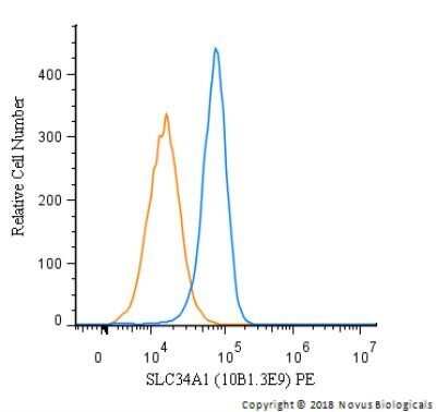 Flow Cytometry: SLC34A1 Antibody (10B1.3E9) - Azide and BSA Free [NBP2-80953]