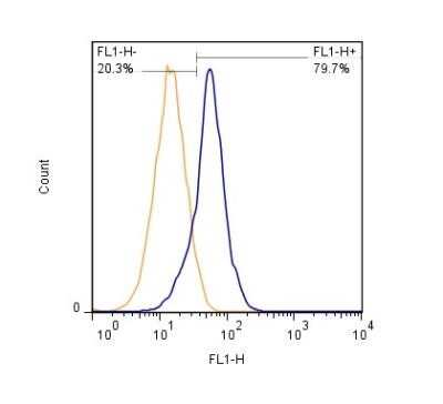 Flow Cytometry: SLC34A1 Antibody (10B1.3E9) - Azide and BSA Free [NBP2-80953]