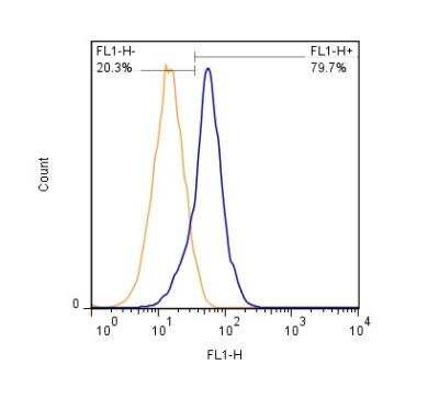 Flow Cytometry: SLC34A1 Antibody (10B1.3E9) - BSA Free [NBP2-42216]
