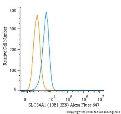 Flow Cytometry: SLC34A1 Antibody (10B1.3E9) - BSA Free [NBP2-42216]