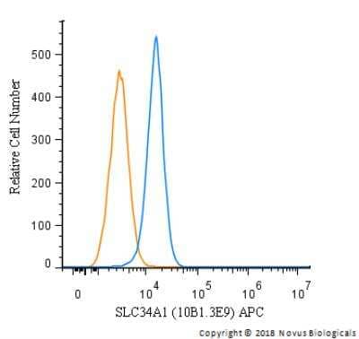 Flow Cytometry: SLC34A1 Antibody (10B1.3E9) - BSA Free [NBP2-42216]
