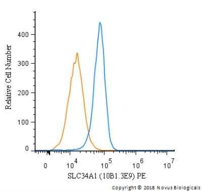 Flow Cytometry: SLC34A1 Antibody (10B1.3E9) - BSA Free [NBP2-42216]