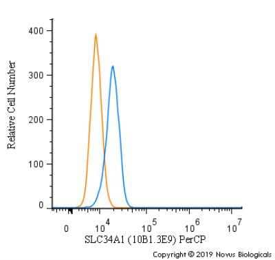 Flow Cytometry: SLC34A1 Antibody (10B1.3E9) - BSA Free [NBP2-42216]