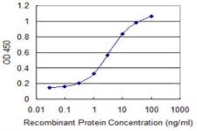 ELISA: SLC44A2 Antibody (1D5) [H00057153-M02]