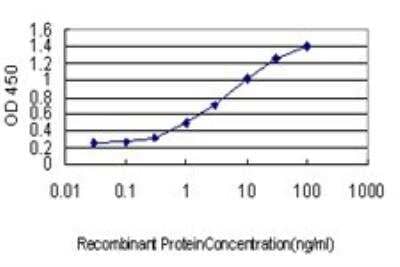 ELISA: SLC4A4 Antibody (1G2) [H00008671-M01]