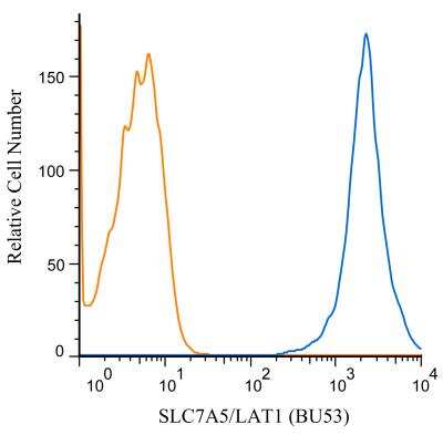 Flow (Cell Surface): SLC7A5/LAT1 Antibody (BU53) - BSA Free [NBP2-50465]