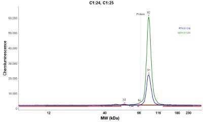 Simple Western: SLFN5 Antibody [NBP1-81178]