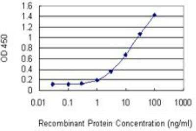 ELISA: SLMAP Antibody (2A7) [H00007871-M08]