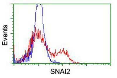 Flow Cytometry: Slug Antibody (OTI1A6) [NBP2-03886]