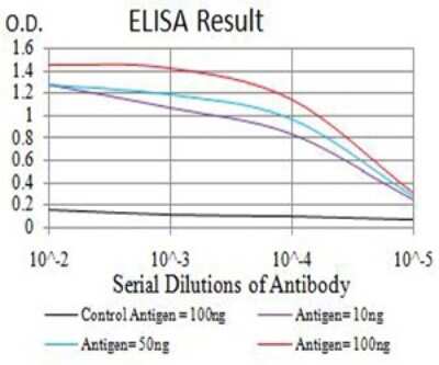 ELISA: SMARCA1 Antibody (2H7B8) - BSA Free [NBP2-61879]
