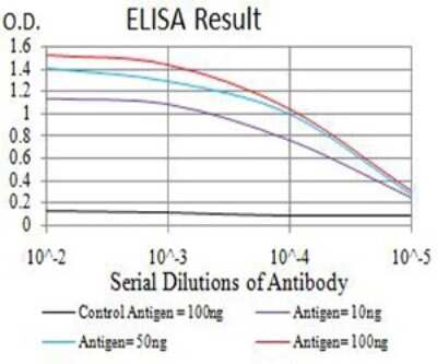 ELISA: SMARCA1 Antibody (2H7B9) - BSA Free [NBP2-61882]