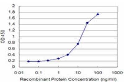 ELISA: SMARCD3 Antibody (5B6) [H00006604-M04]