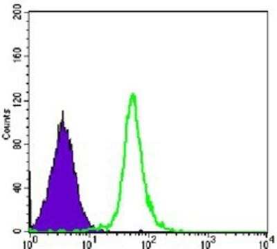 Flow Cytometry: SMC1 Antibody (5B6) - BSA Free [NBP1-51596]