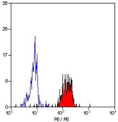 Flow Cytometry: SMC4 Antibody [NB100-56394]