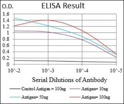 ELISA: SMCP Antibody (5C10A2) - BSA Free [NBP2-37278]