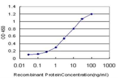 ELISA: SMG1 Antibody (1C12) [H00023049-M03]