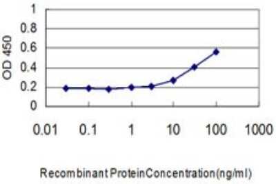 ELISA: SMN2 Antibody (2B11-2A9) [H00006607-M01]
