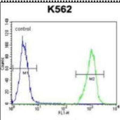 Flow Cytometry: SMPD1 Antibody [NBP2-22365]