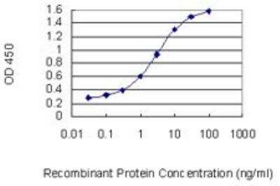 ELISA: SMPDL3B Antibody (5E12) [H00027293-M01]