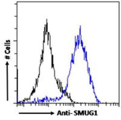 Flow Cytometry: SMUG1 Antibody [NB100-1414]