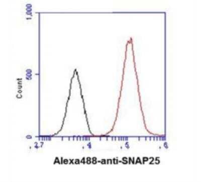 Flow Cytometry: SNAP25 Antibody (4E11) - BSA Free [NBP1-04344]