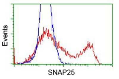 Flow Cytometry: SNAP25 Antibody (OTI4G5) [NBP2-00795]