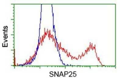 Flow Cytometry: SNAP25 Antibody (OTI4G5) - Azide and BSA Free [NBP2-74245]