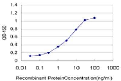 ELISA: SNAPC5 Antibody (5E2) [H00010302-M03]