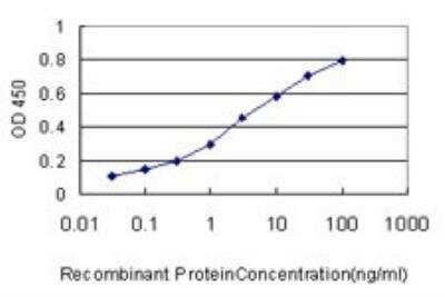 ELISA: SNF5 Antibody (3E10) [H00006598-M01]