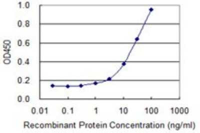 ELISA: SNX11 Antibody (2G1) [H00029916-M05]