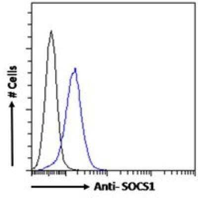 Flow Cytometry: SOCS-1 Antibody [NB100-781]