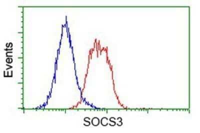 Flow Cytometry: SOCS-3 Antibody (OTI3D3) - Azide and BSA Free [NBP2-74276]